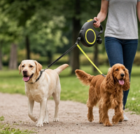 Auto Double Dog Leash